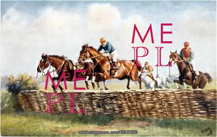 : HORSES OVER HURDLES 1912 : HORSES OVER HURDLES 1912