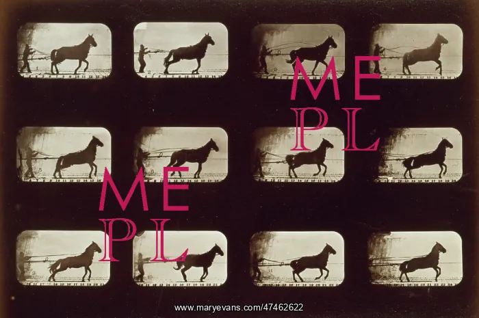 : Horses. Irregular : Horses. Irregular
