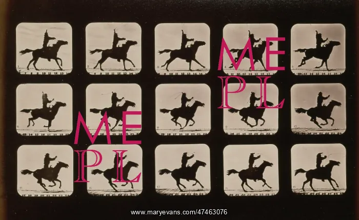: Horses. Irregular : Horses. Irregular