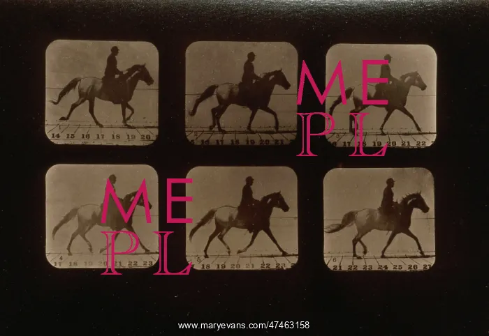 : Horses. Irregular : Horses. Irregular