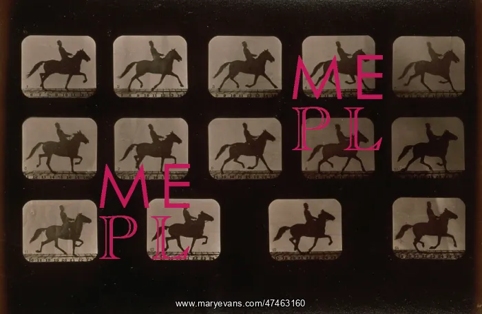 : Horses. Irregular : Horses. Irregular