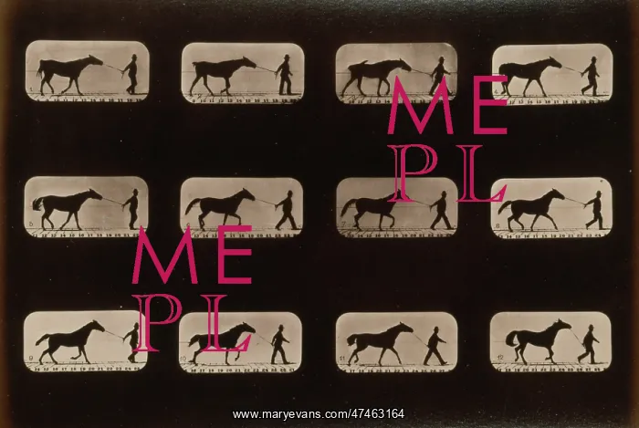 : Horses. Irregular : Horses. Irregular