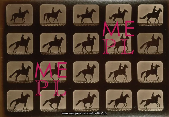: Horses. Irregular : Horses. Irregular