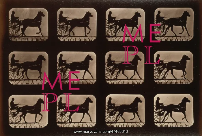 : Horses. Irregular : Horses. Irregular