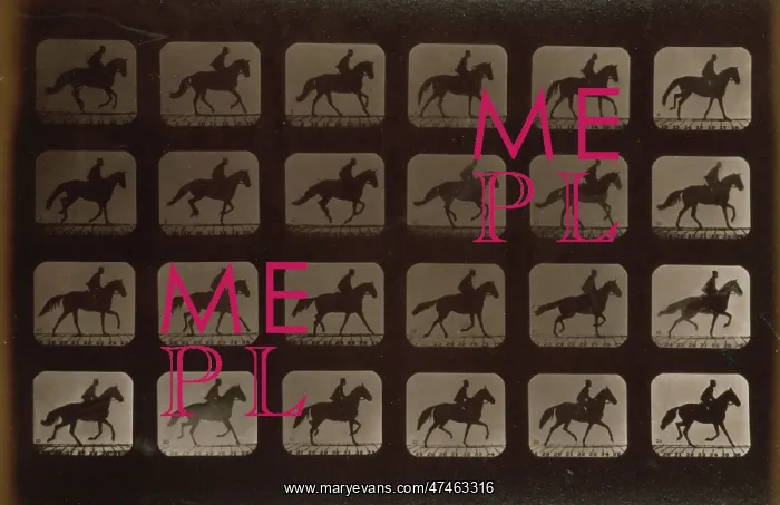 : Horses. Irregular : Horses. Irregular