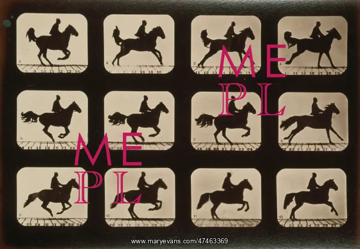 : Horses. Irregular : Horses. Irregular