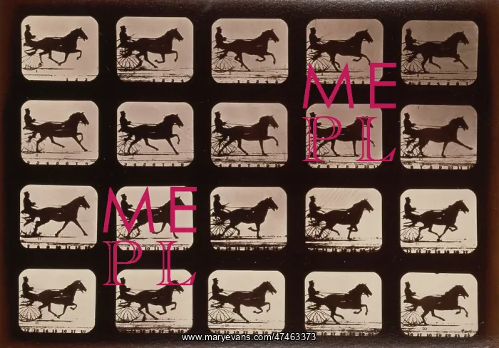: Horses. Irregular : Horses. Irregular