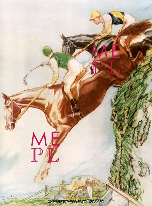  : Horses Leap Hurdle