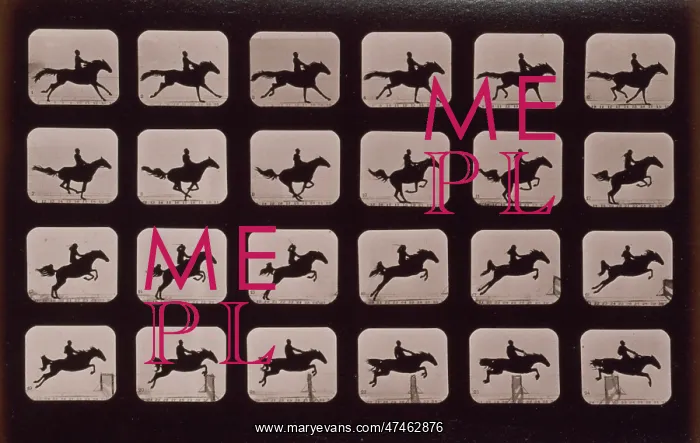 : Horses. Leaping a 3 ft. 6 hurdle : Horses. Leaping a 3 ft. 6 hurdle