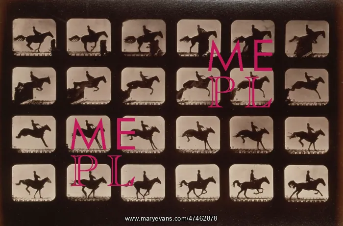  : Horses. Leaping a 3 ft. 6 hurdle