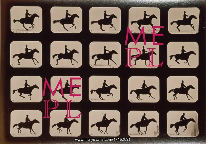 : Horses. Leaping a 3 ft. 6 hurdle : Horses. Leaping a 3 ft. 6 hurdle
