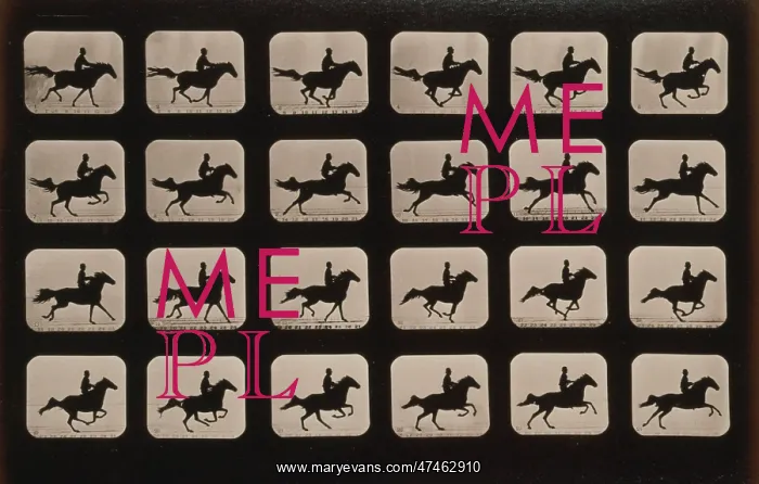 : Horses. After leaping a 3 ft. 6 hurdle : Horses. After leaping a 3 ft. 6 hurdle