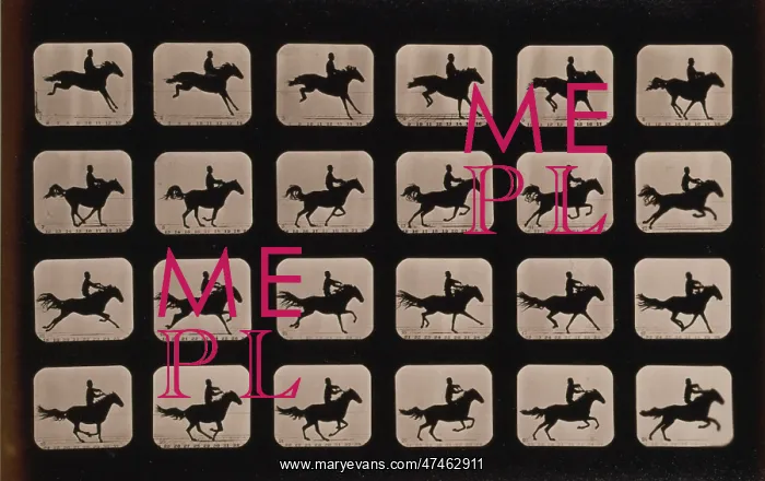 : Horses. After leaping a 3 ft. 6 hurdle : Horses. After leaping a 3 ft. 6 hurdle