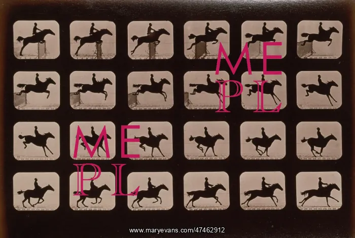 : Horses. Leaping a 3 ft. 6 hurdle : Horses. Leaping a 3 ft. 6 hurdle