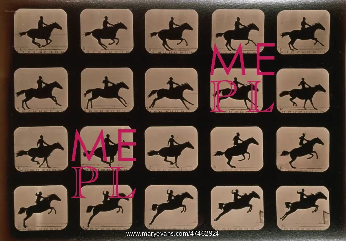 : Horses. Leaping a 3 ft. 6 hurdle : Horses. Leaping a 3 ft. 6 hurdle
