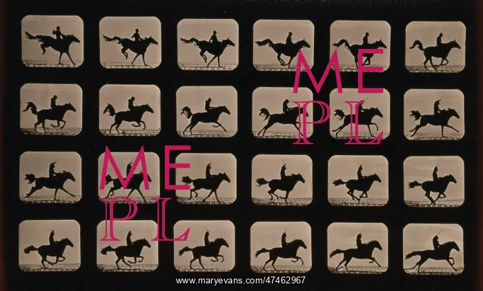 : Horses. After leaping a 3 ft. 6 hurdle : Horses. After leaping a 3 ft. 6 hurdle