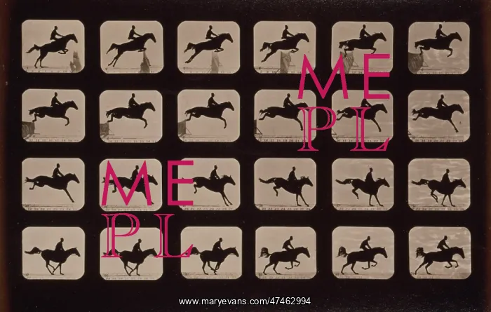  : Horses. Leaping a 3 ft. 6 hurdle