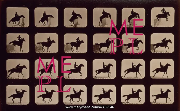 : Horses. Leaping a 3 ft. 6 hurdle. Irregular : Horses. Leaping a 3 ft. 6 hurdle. Irregular