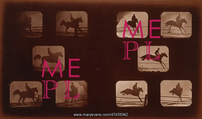 : Horses. Leaping : Horses. Leaping