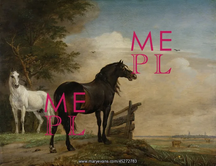 : Two Horses in a Meadow Near a Gate : Two Horses in a Meadow Near a Gate