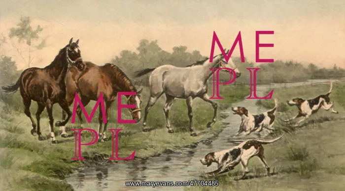  : Horses Meet Hounds