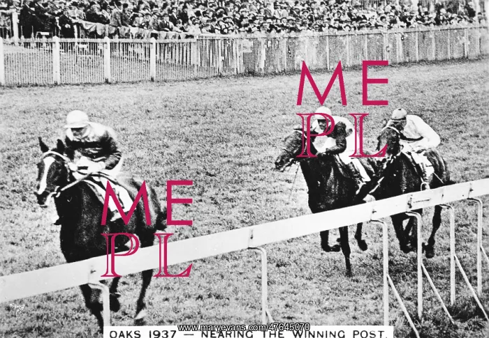 : Horses near the winning post, Epsom Oaks : Horses near the winning post, Epsom Oaks