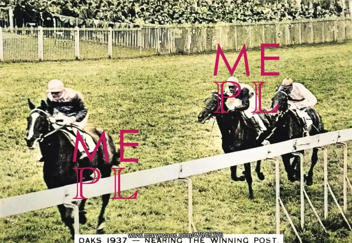 : Horses near the winning post, Epsom Oaks : Horses near the winning post, Epsom Oaks