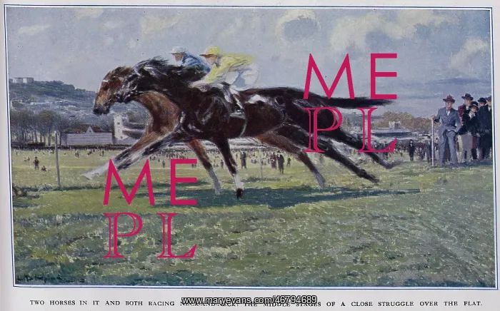 : Horses Neck-and-Neck : Horses Neck-and-Neck