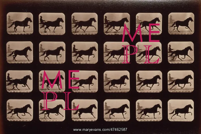 : Horses. Pacing : Horses. Pacing