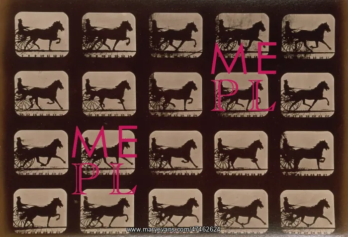 : Horses. Pacing : Horses. Pacing