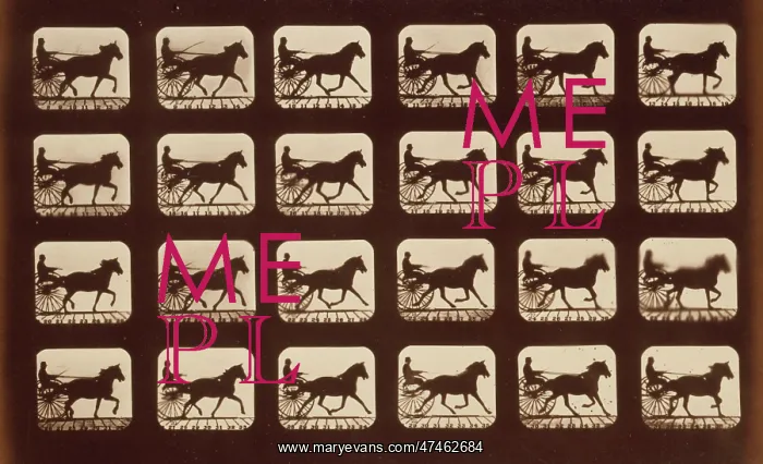 : Horses. Pacing : Horses. Pacing
