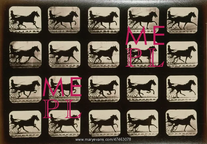 : Horses. Pacing : Horses. Pacing