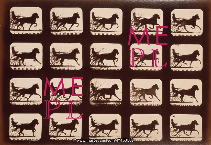 : Horses. Pacing : Horses. Pacing
