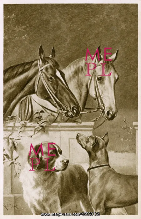 : Two Horses and a pair of dogs : Two Horses and a pair of dogs