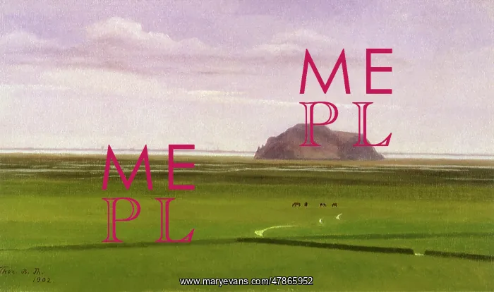 : Horses on Plain : Horses on Plain