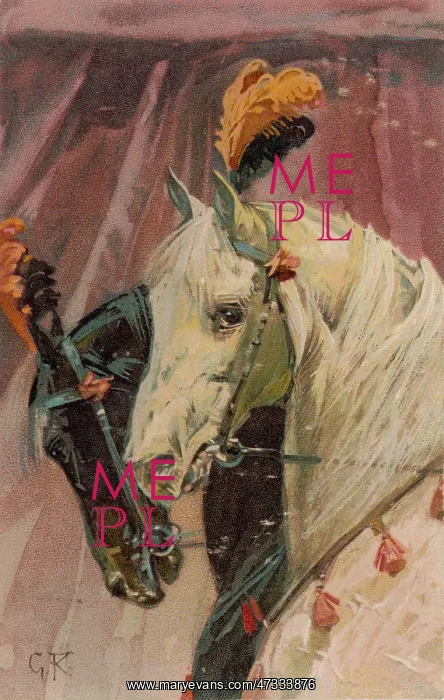  : HORSES WITH PLUMES 1906