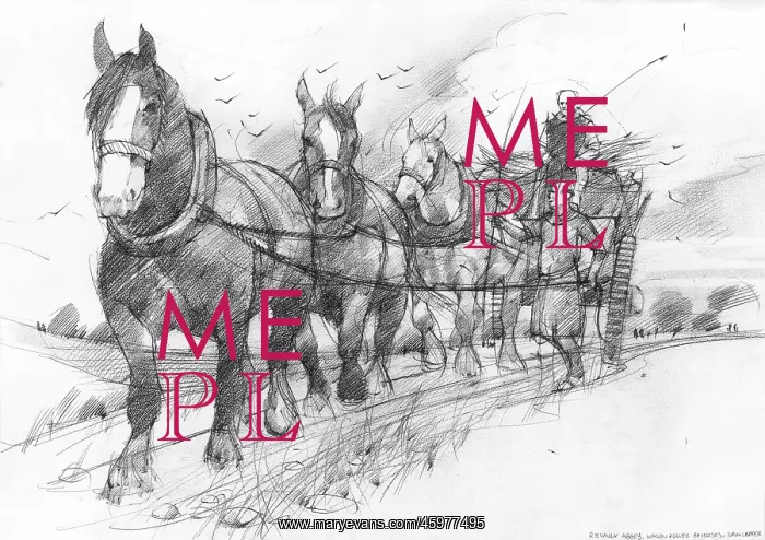 : Horses pulling cart : Horses pulling cart