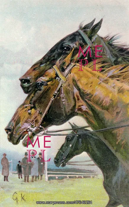  : Three horses racing -- a close finish