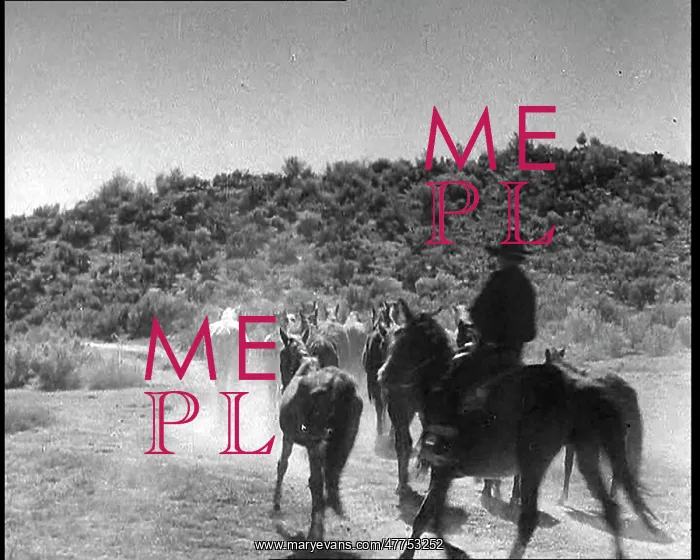 : Horses Being Rounded Up By Cowboys : Horses Being Rounded Up By Cowboys