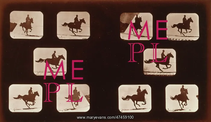 : Horses. Running : Horses. Running