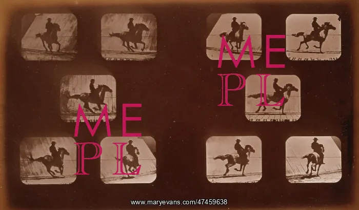 : Horses. Running : Horses. Running