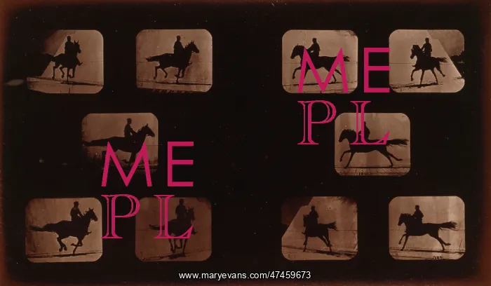 : Horses. Running : Horses. Running