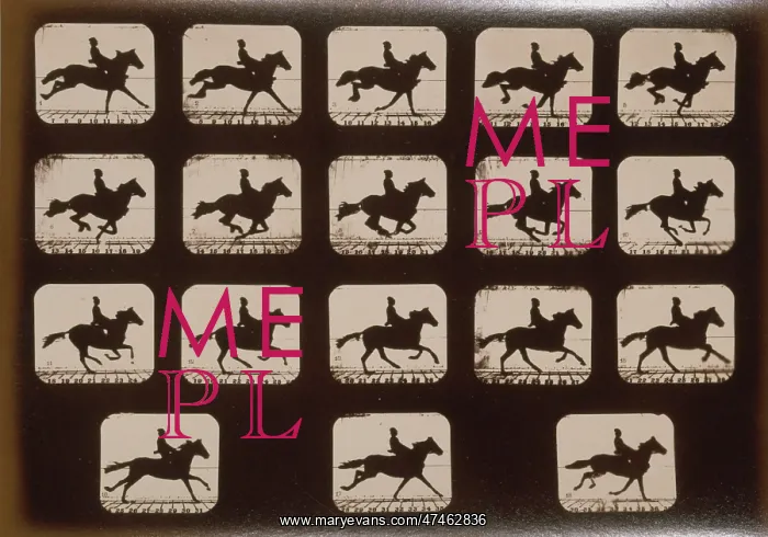 : Horses. Running : Horses. Running