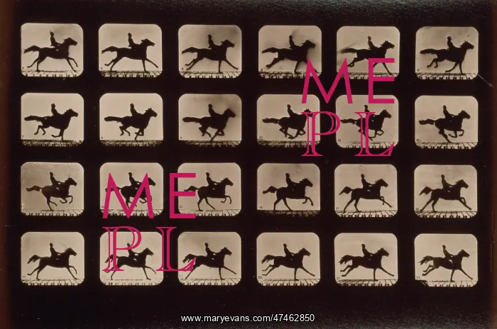 : Horses. Running : Horses. Running