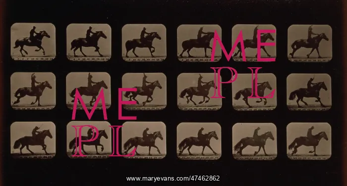 : Horses. Running : Horses. Running
