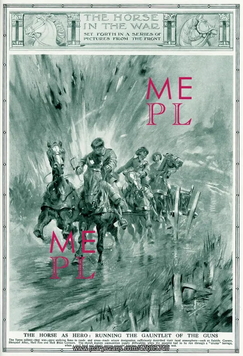 : Horses running the gauntlet of the guns, 1917 : Horses running the gauntlet of the guns, 1917