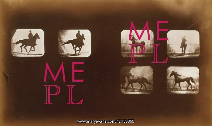 : Horses. Running - Horses. Cantering : Horses. Running - Horses. Cantering