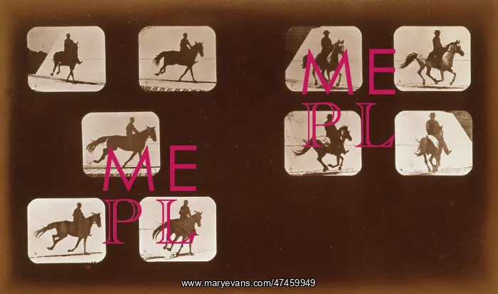 : Horses. Running - Horses. Running : Horses. Running - Horses. Running