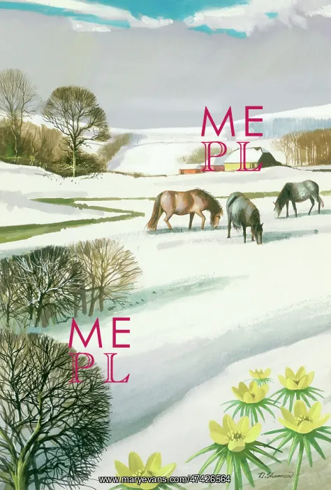  : Horses in the Snow