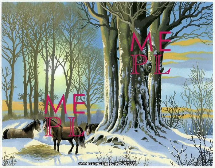 : Horses in the snow eating hay : Horses in the snow eating hay